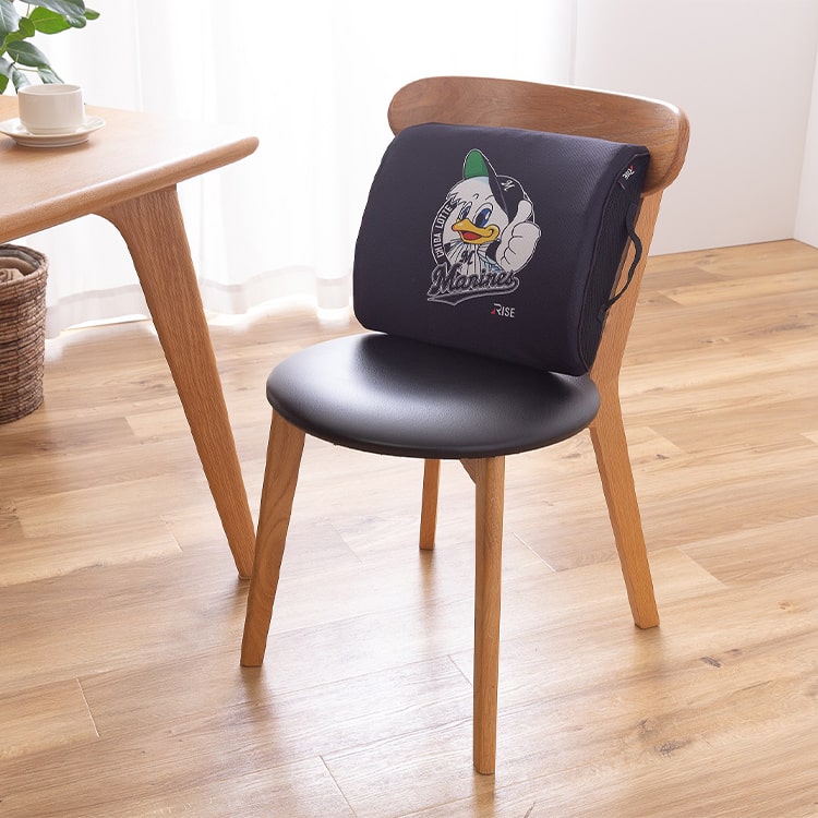 スリープオアシス 腰サポートクッション