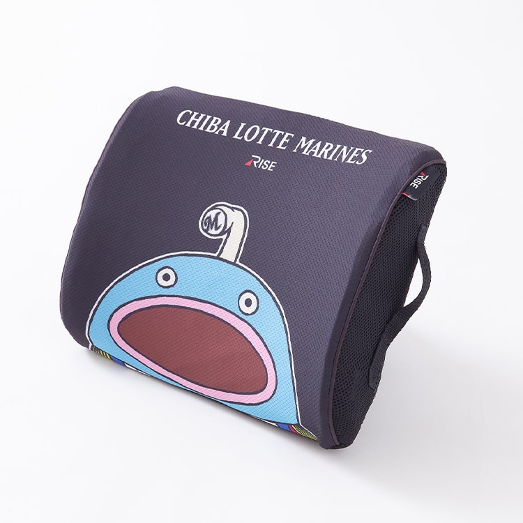 スリープオアシス 腰サポートクッション