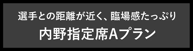 選手との距離が近く、臨場感たっぷり内野指定席Aプラン