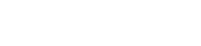 STEERIST