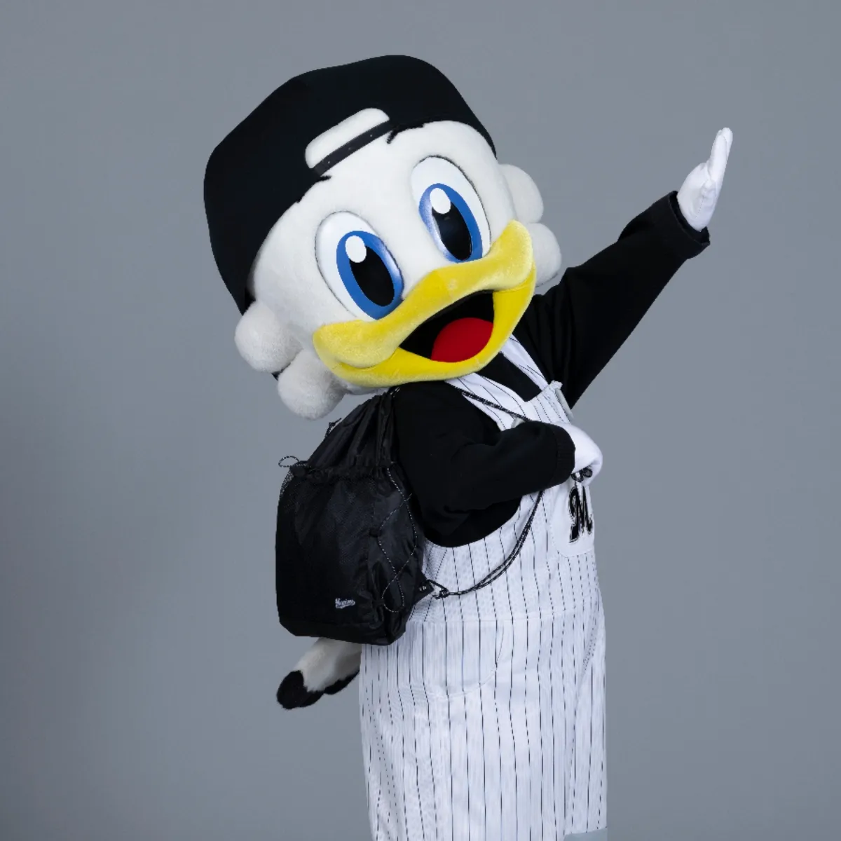 ドローコードナップサック