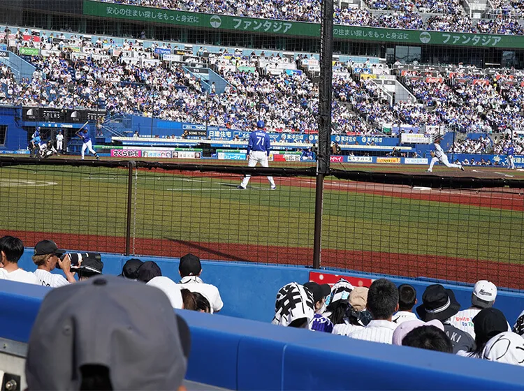 フィールドウイング・シート