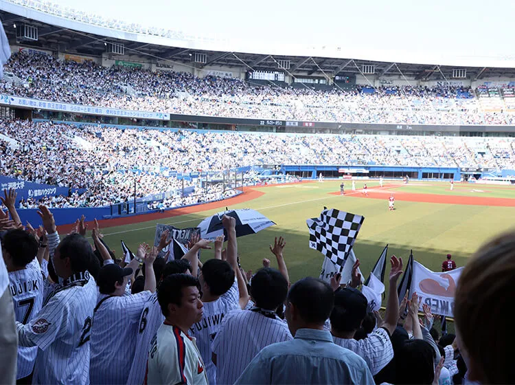 ホーム外野応援指定席