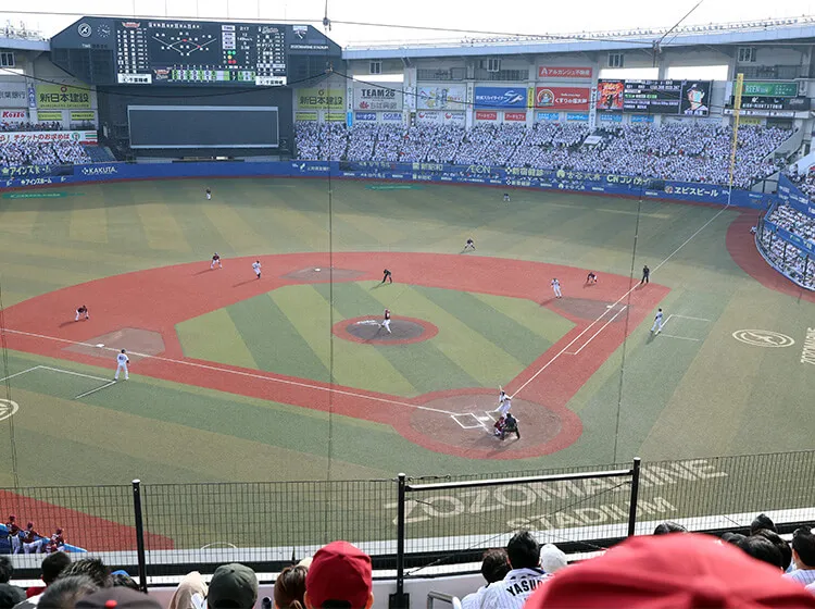 内野指定席S