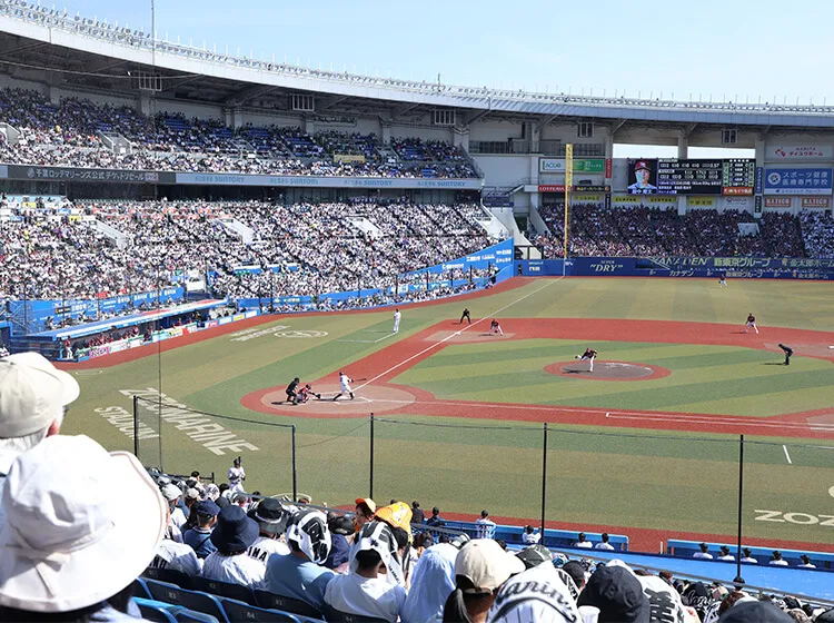 内野指定席S