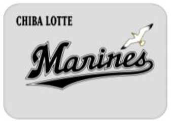 球団旗ブランケット