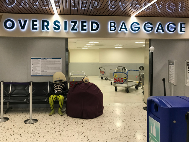 ハワイアン航空presents ハワイはここから始まる！航空券プレゼント