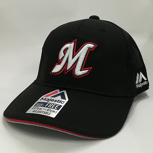 ビジターメッシュ