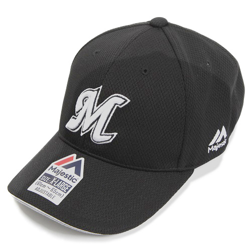 ホームキャップ1