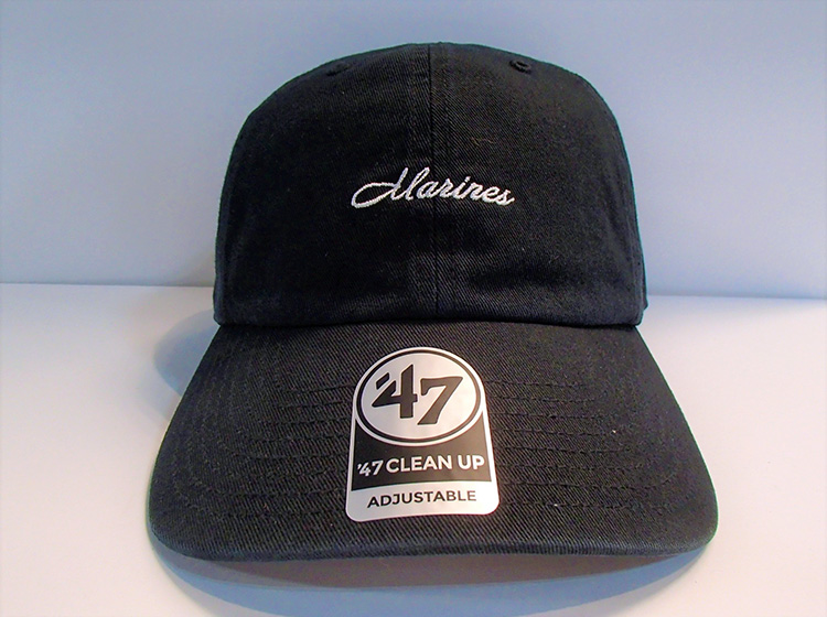 【5】ﾐﾆﾛｺﾞｽｸﾘﾌﾟﾄCLEANUPﾌﾞﾗｯｸ (1)