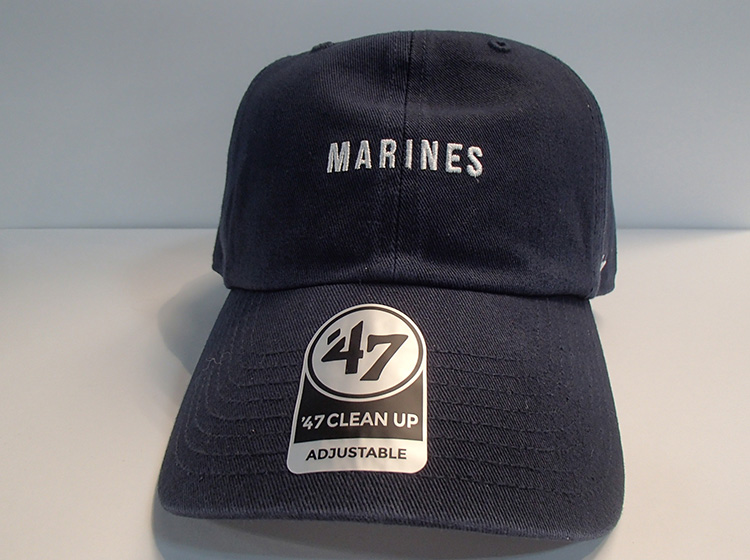 【24】ﾐﾆﾛｺﾞﾎﾞｯｸｽCLEANUPﾈｲﾋﾞｰ (1)