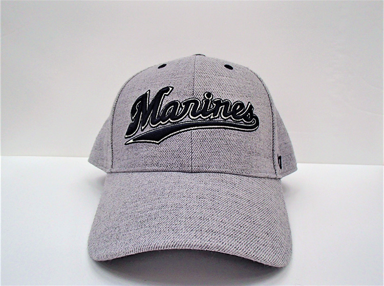 【40】ｽﾄｰﾑｸﾗｳﾄﾞｽｸﾘﾌﾟﾄ ｸﾞﾚｰ (1)