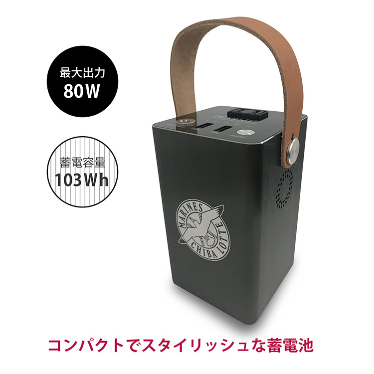 マリーンズ蓄電池