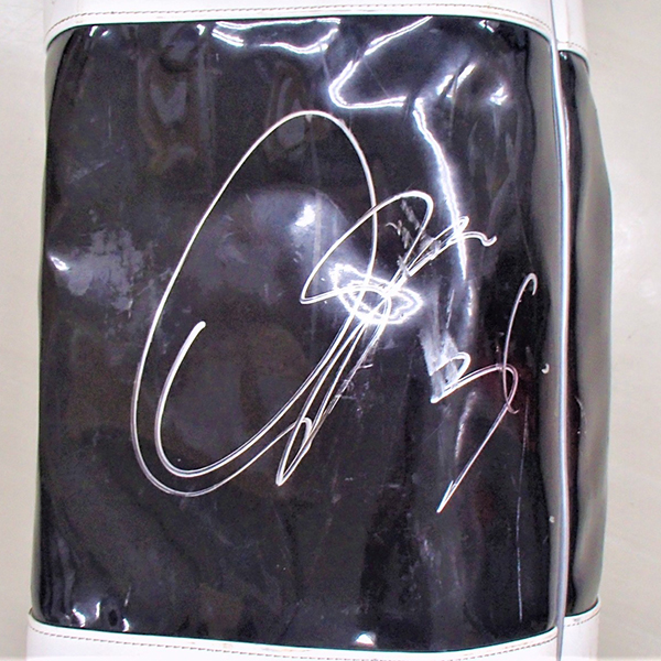 2019バットケース_#31菅野