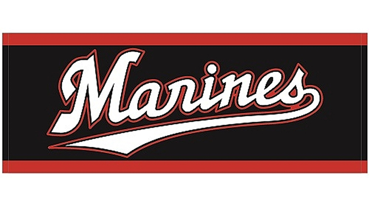 2019ビジターフェイスタオル