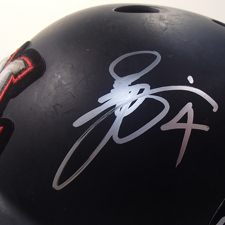 #4藤岡 ビジター