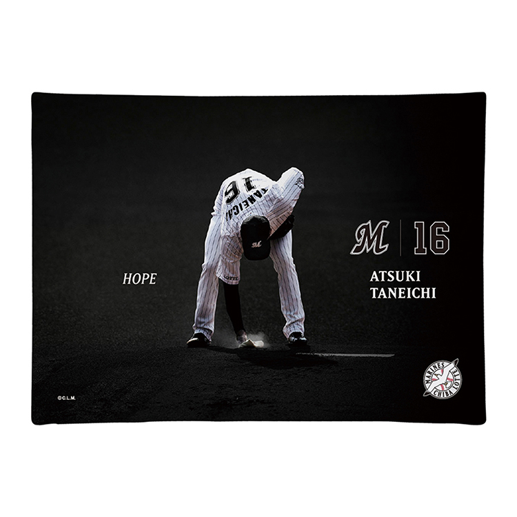 キャンバスピクチャーボード(16種市)