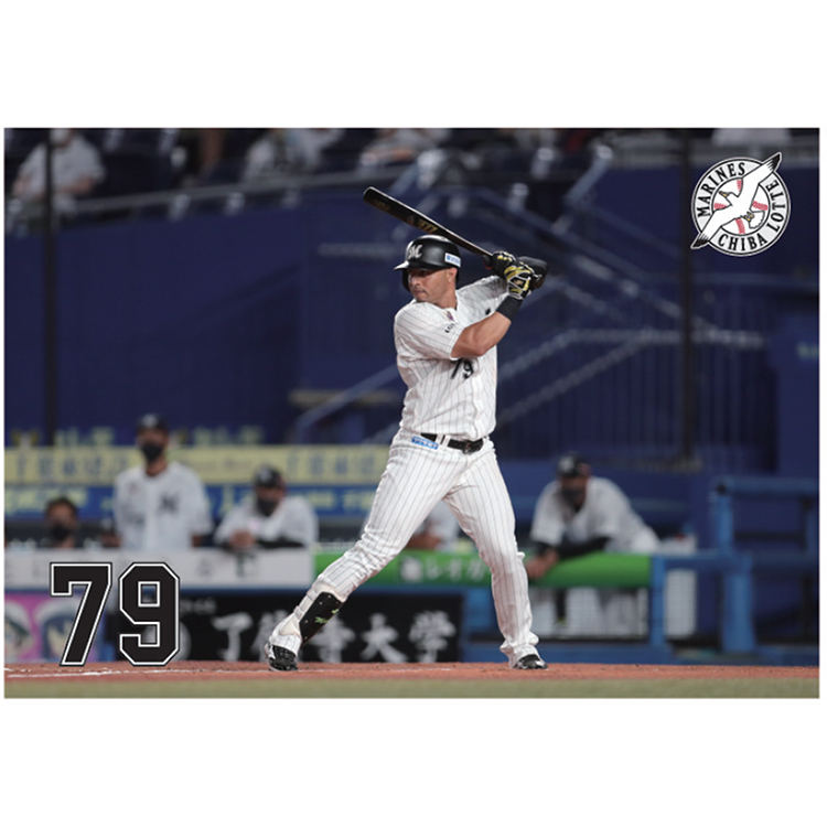 フルカラーブランケット #79マーティン