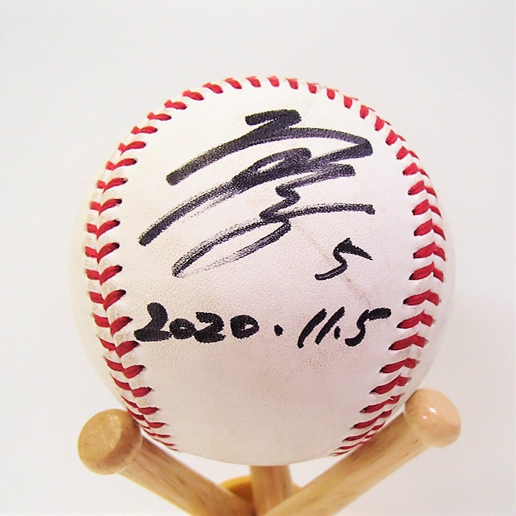 ヒーロー試合球_1105#5安田