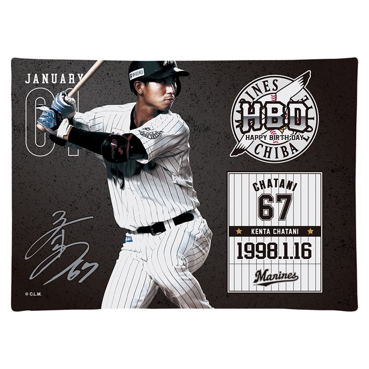 キャンパスピクチャーボード