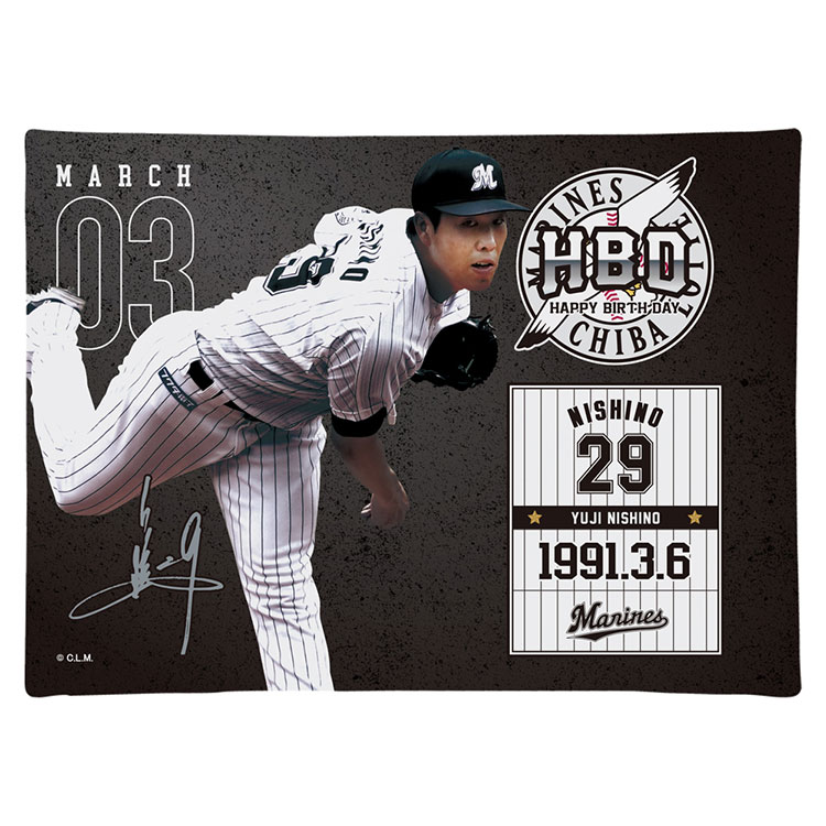 キャンパスピクチャーボード