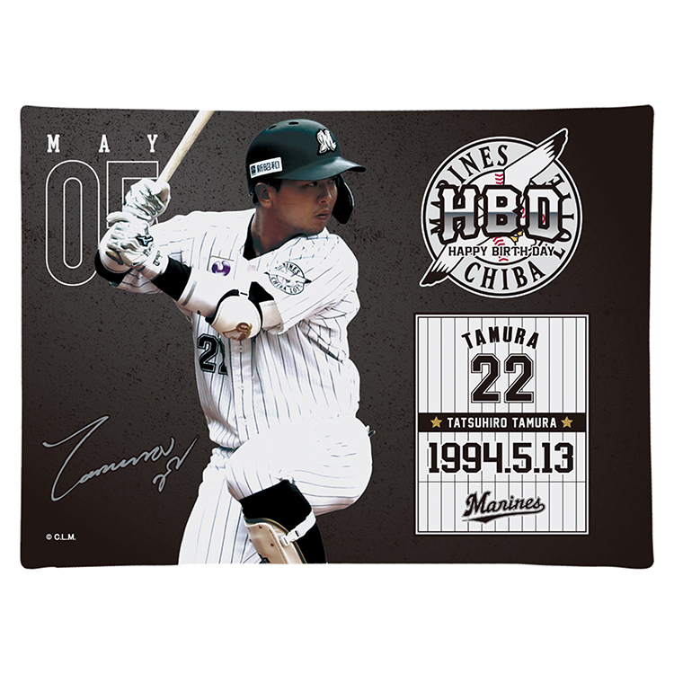 キャンパスピクチャーボード