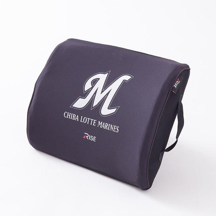 スリープオアシス 腰サポートクッション