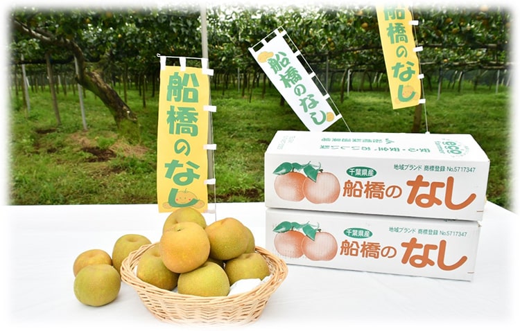 特産品プレゼントキャンペーン