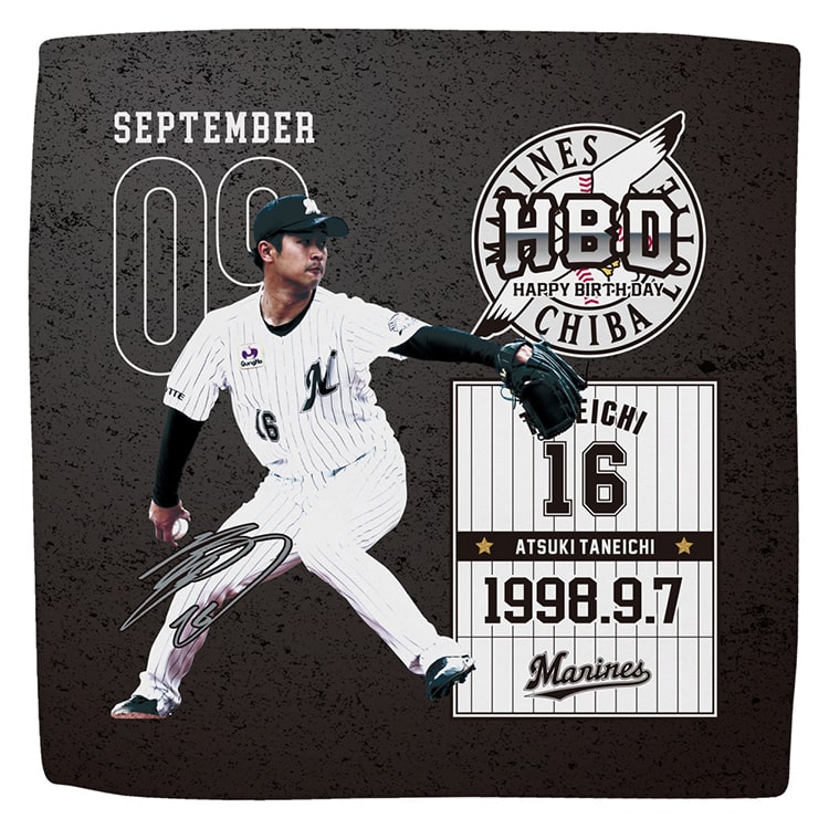 ハイブリッドハンドタオル