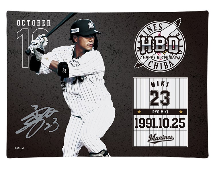 キャンパスピクチャーボード