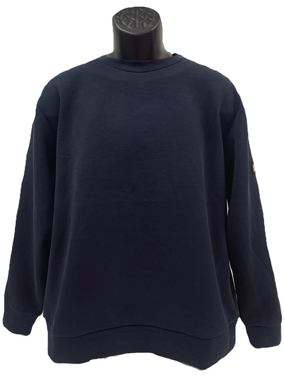 ヴィンテージスウェット クルーネック アーチロゴ