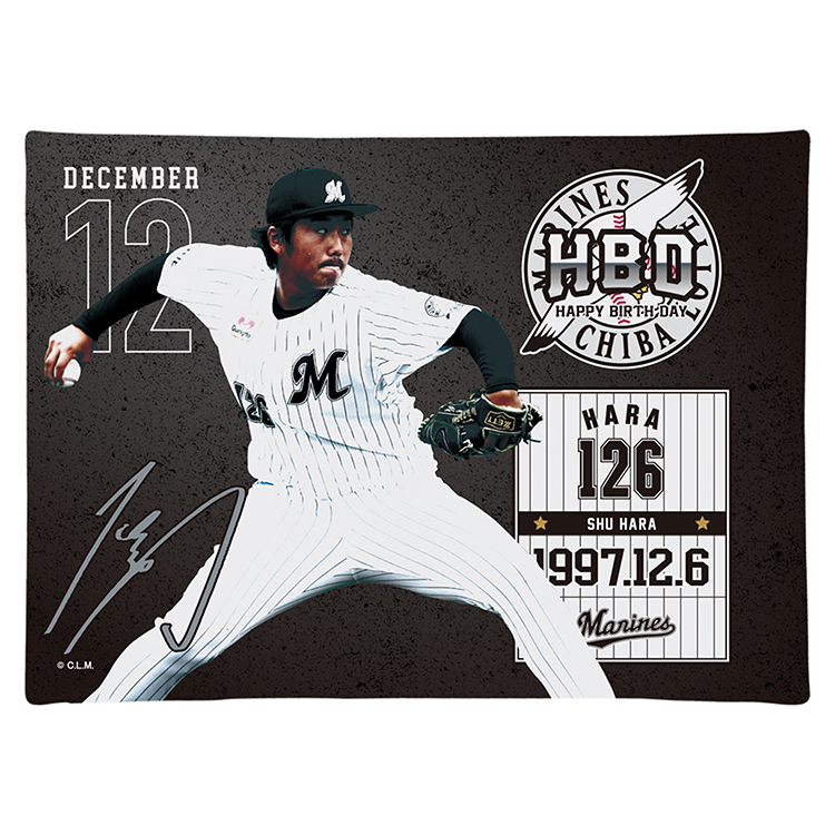 キャンパスピクチャーボード