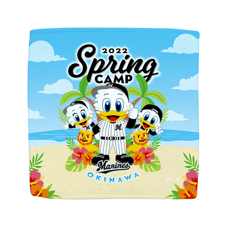 ハイブリッドハンドタオル