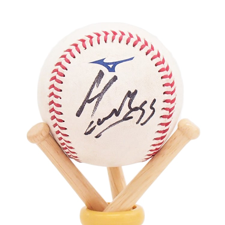 ヒーロー試合球