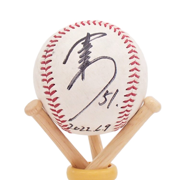 ヒーロー試合球