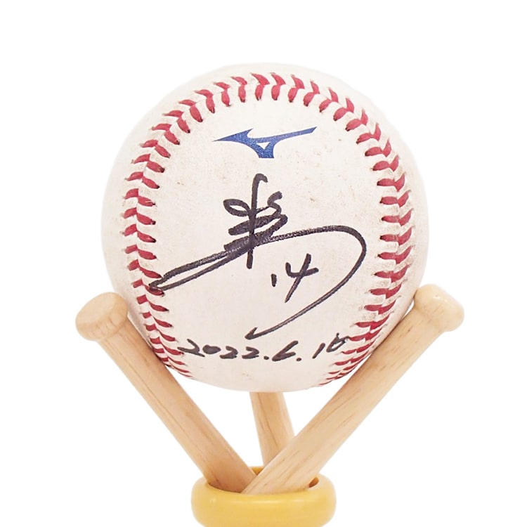 ヒーロー試合球