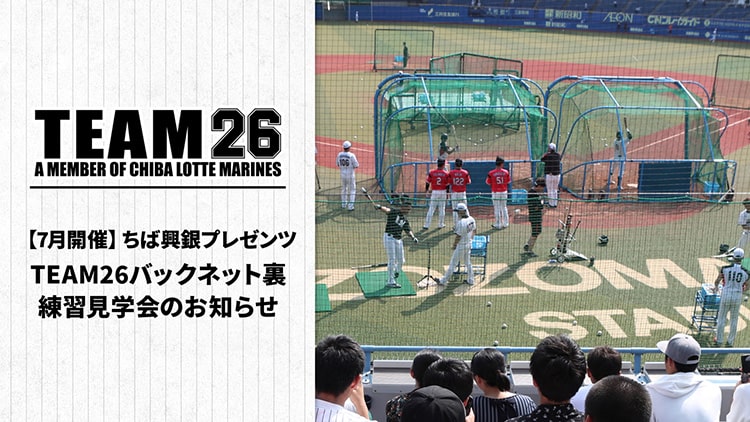 千葉ロッテマリーンズ練習球(20年以上前に頂いた物となります