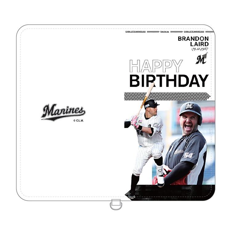 マルチスマホケース