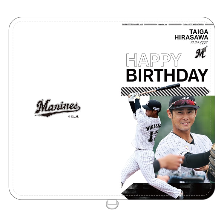 マルチスマホケース