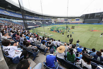 バックネット裏練習見学会