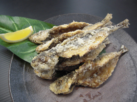 うみんちゅ(群馬県前橋市)