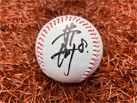選手直筆サインボール