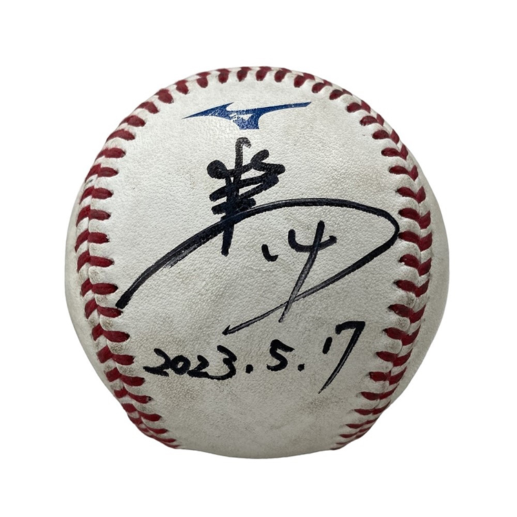 ヒーロー試合球