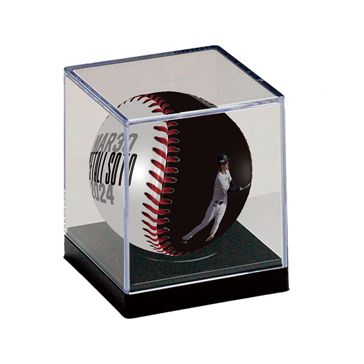 ピクチャーボール