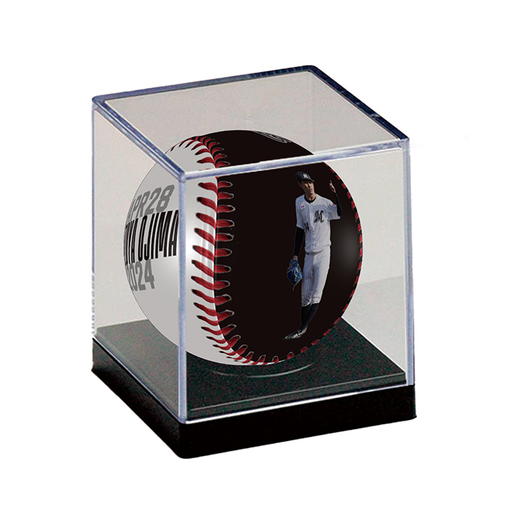 ピクチャーボール