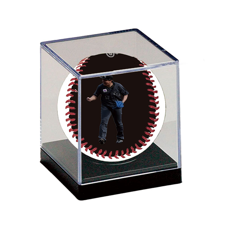 ピクチャーボール