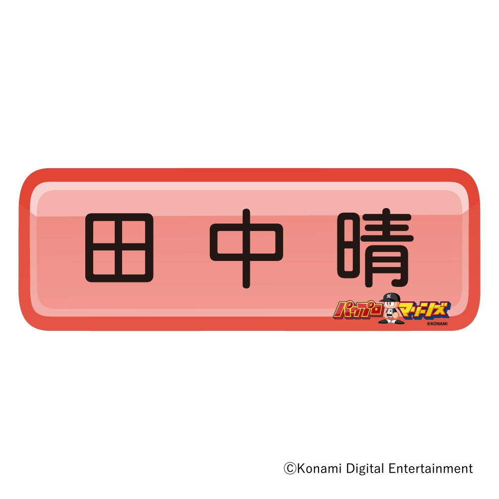 カーマグネット(選手ネームプレート)