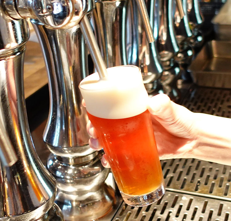 サステナブルクラフトビール