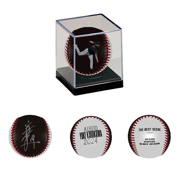 ピクチャーボール