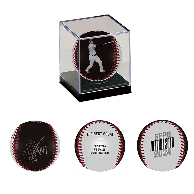 ピクチャーボール